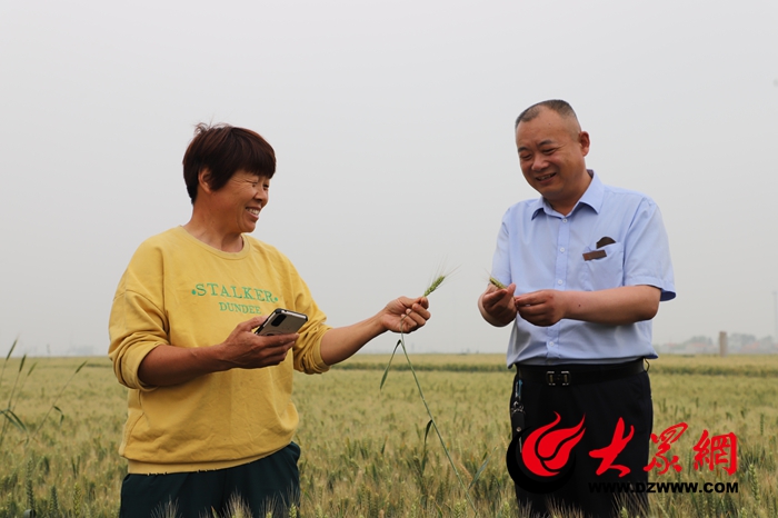 郓城农商银行：“六举措”助力“三夏”颗粒归仓_焦点新闻_大众