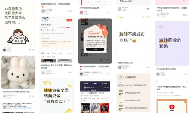 洗脑广告折磨网友发转转的网红博主我想取关了(图5)