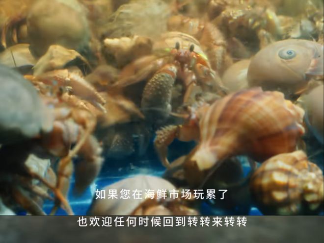 洗脑广告折磨网友发转转的网红博主我想取关了(图4)