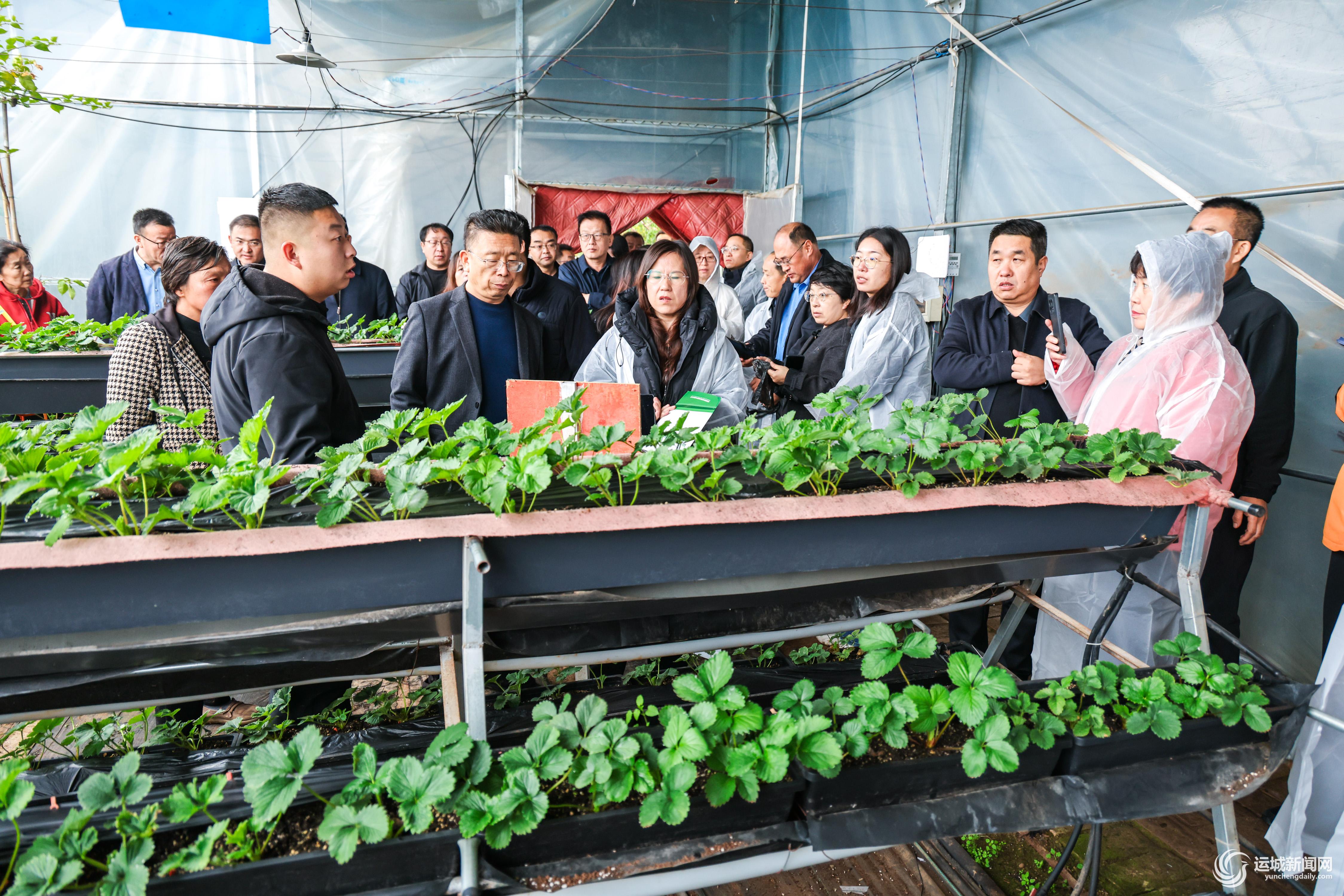 地膜“闭环”护沃土
