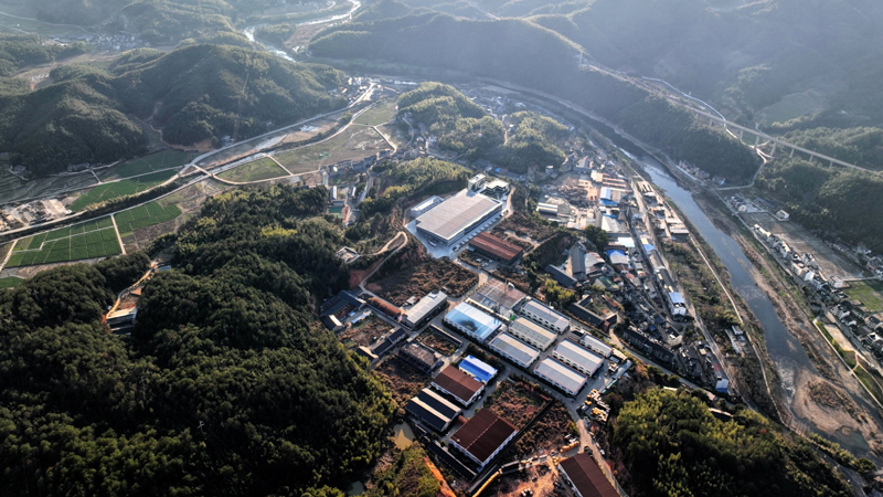 浙江龙泉：一瓶“共富水”滋养乡村振兴路