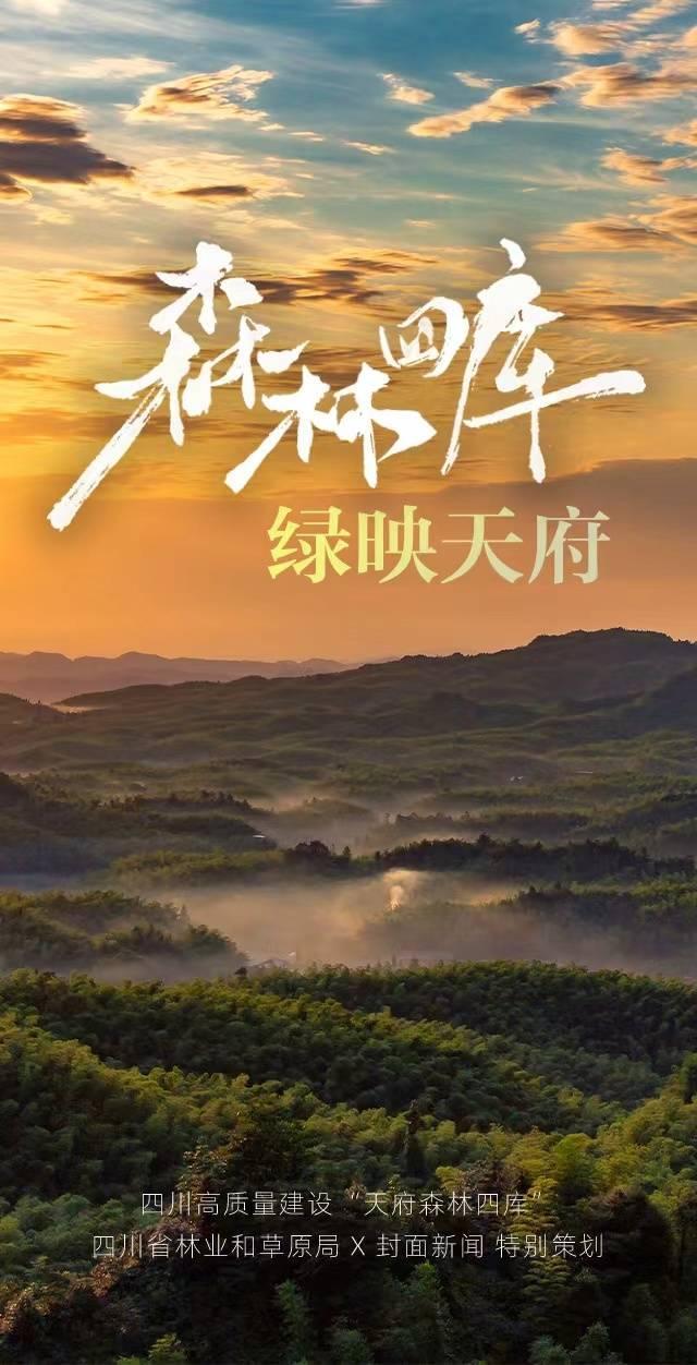 森林四库 绿映天府｜H5