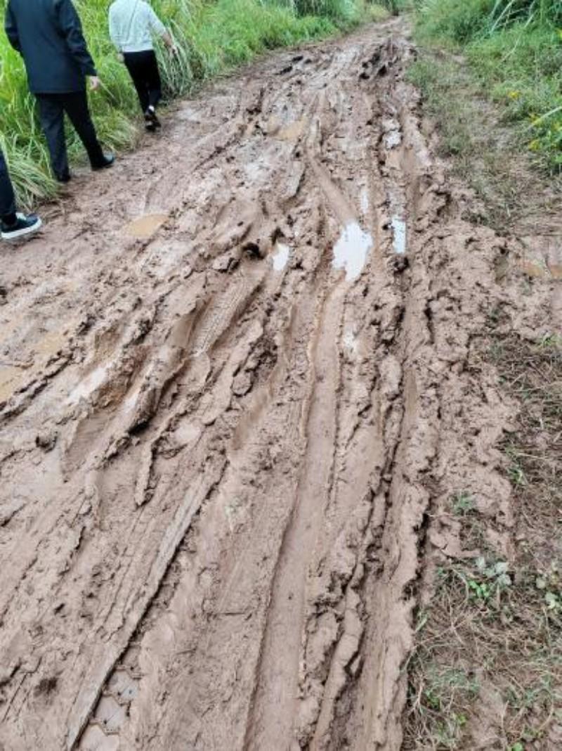 泥泞路上的信贷初心​--邮储银行乐至县支行深耕三农助力乡村振兴(图3)