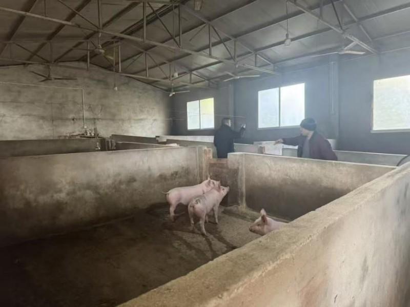 泥泞路上的信贷初心​--邮储银行乐至县支行深耕三农助力乡村振兴