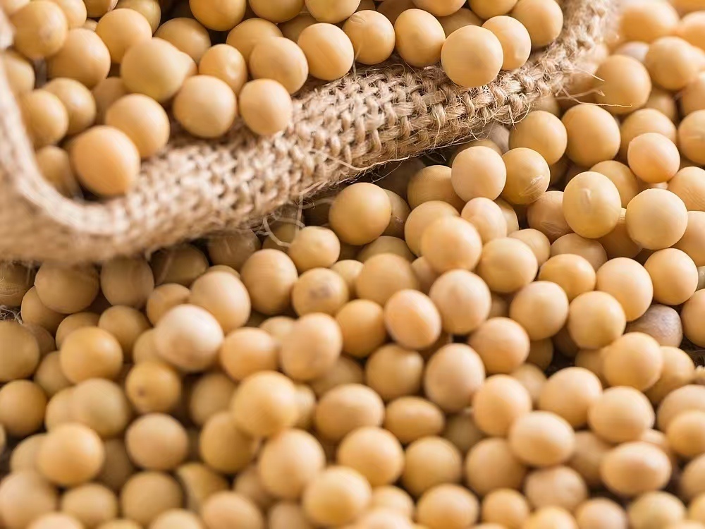 定档4月3日！“黑土优品” 携千亿品牌实力亮相羊城(图2)